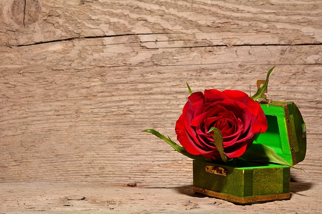YeahBoom Rosa in vetro, rosa in cupola di vetro con luci, rosa luminosa di notte, bella e bestia per fidanzata, mamma, moglie, fiori artificiali, regalo per la festa della mamma e San