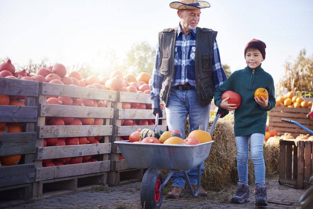 Il grande ritorno dell’agricoltura, tra innovazione e sostenibilità